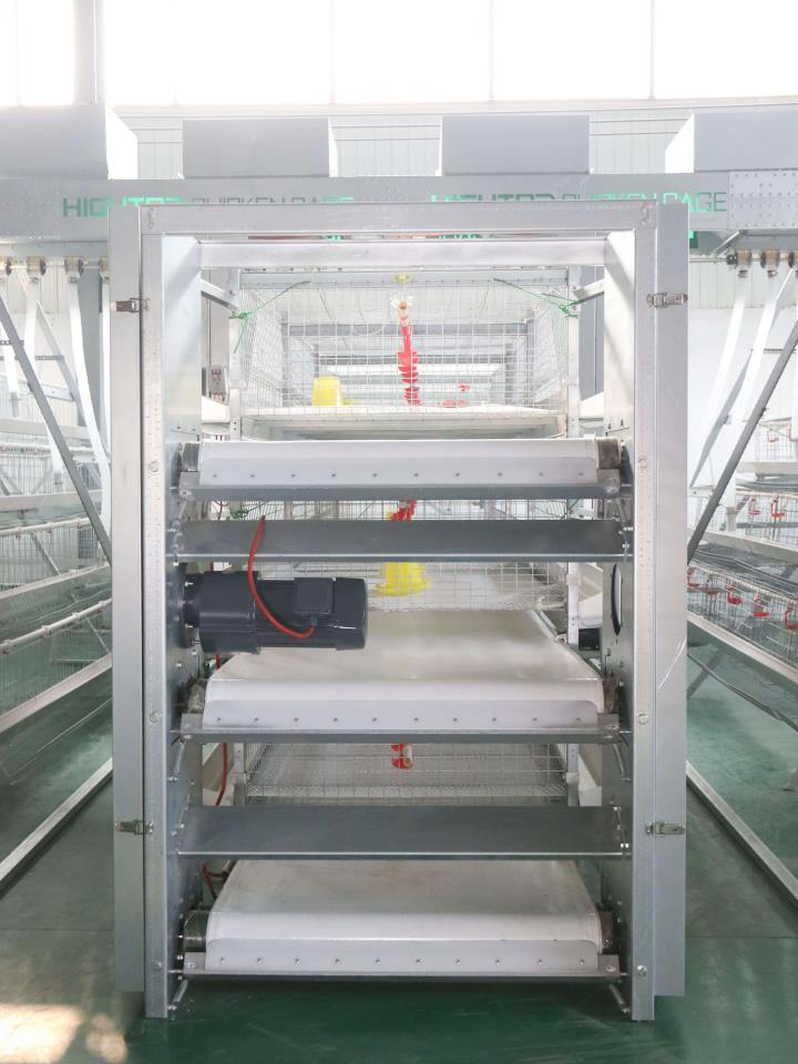 Manual Bird-Harvesting Broiler Chicken Cage | Algorithm Trading PLC ...